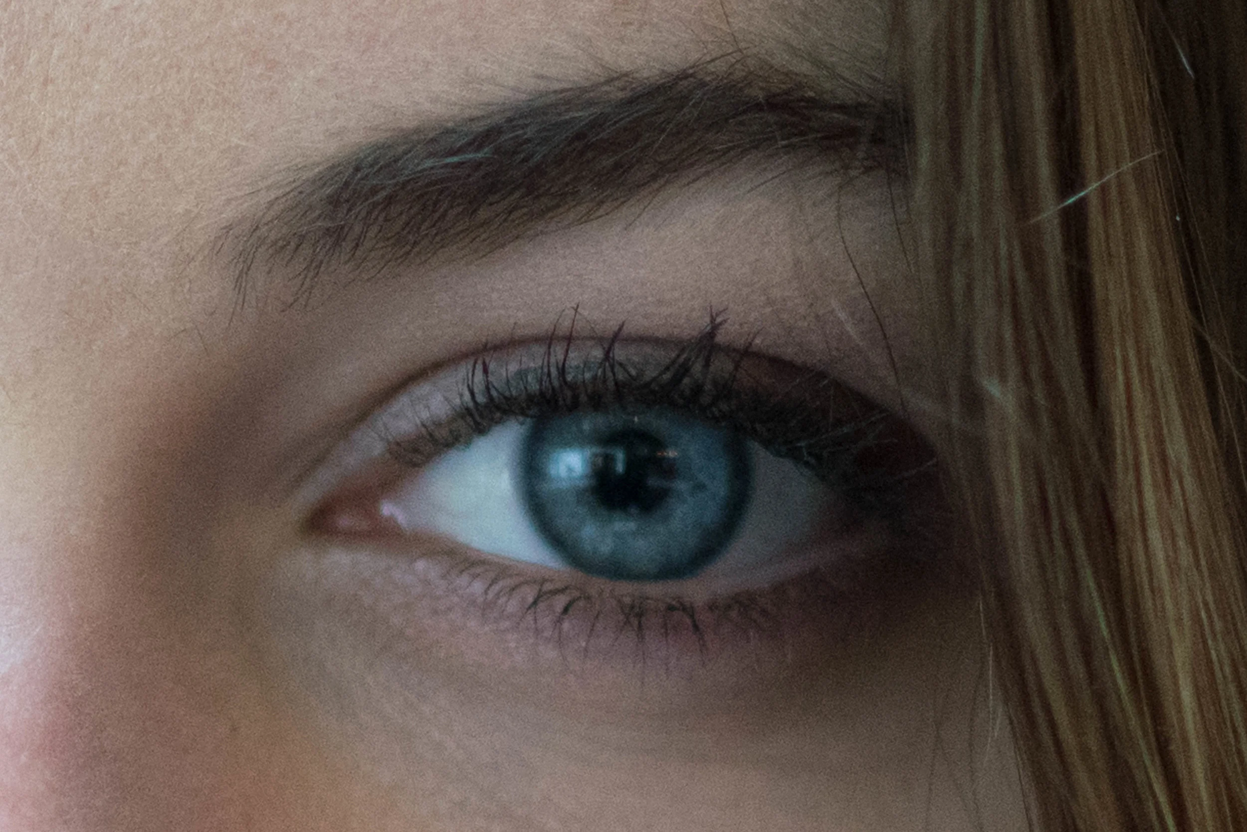 Sony A7R Mark III + Leica 75mm f/1.25 Noctilux-M ASPH - ISO 400, f/1.25, 1/500s, 2:1 Magnification