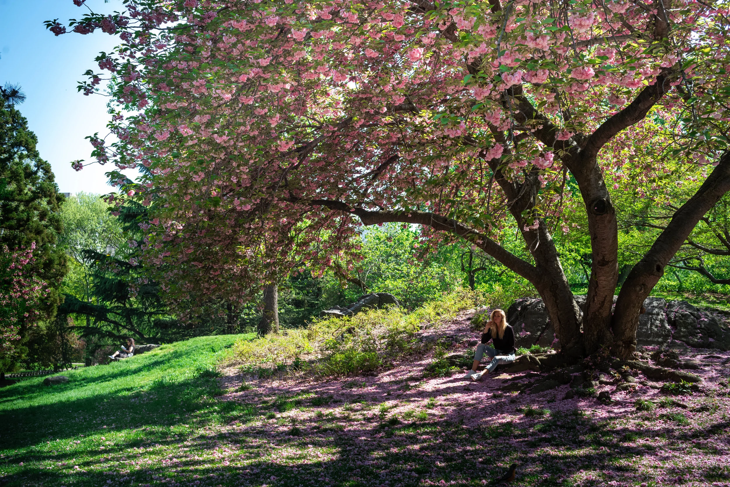 Leica M10 + 35mm f/1.4 Summilux AA - Lydia under a tree, with Anna still behind the hill working on an Instagram moment. Without any object on a closer focusing plane, distortion is seemingly absent.