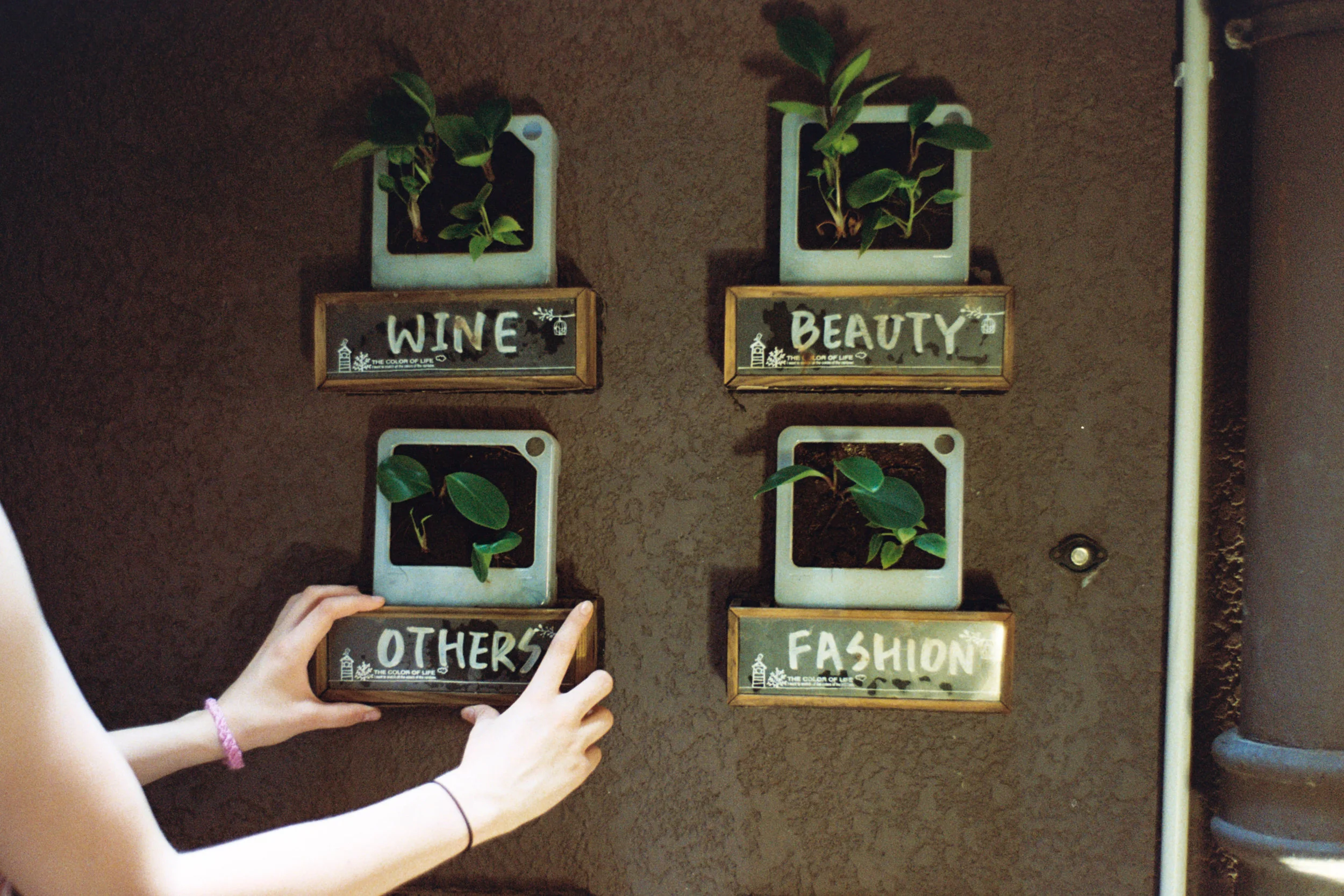 Leica MP-6 + Leica 35mm f/2 Summicron-M Version IV + Kodak Portra 800