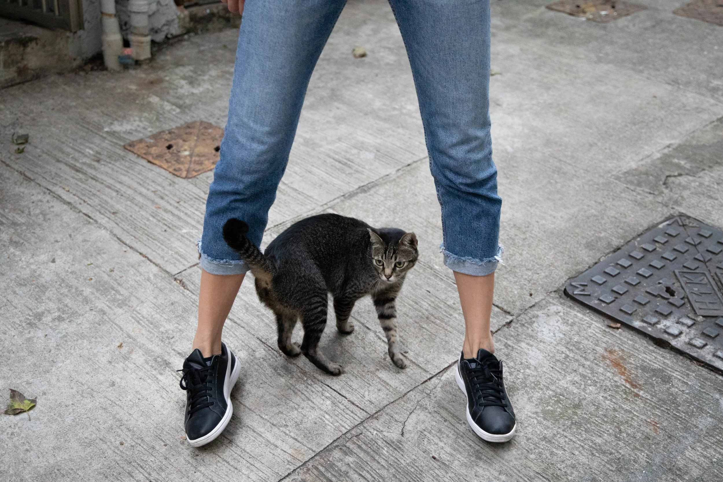 Canon EOS R + Canon RF 24-105mm f/4L IS USM - f/4, ISO 6400, 1/200s, at 50mm - My one and only talent in meowing like a kitty cat for the sake of coaxing this little fellow to join in the fun.