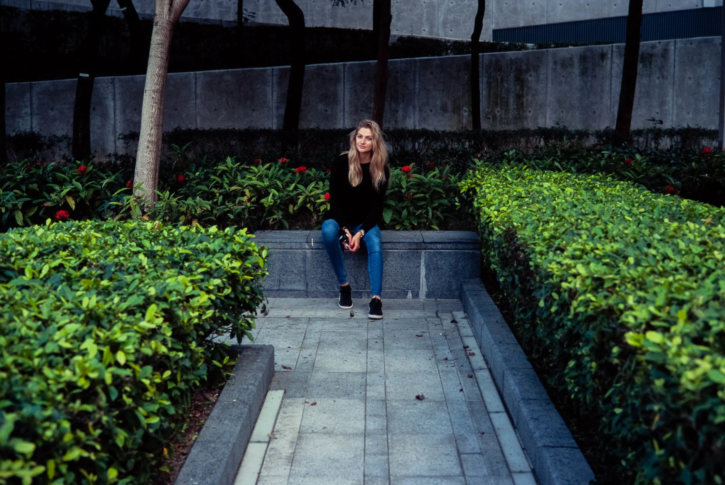Leica MP-6 + Leica 50mm f/2 Summicron-M Version IV + FujiFilm Velvia 100