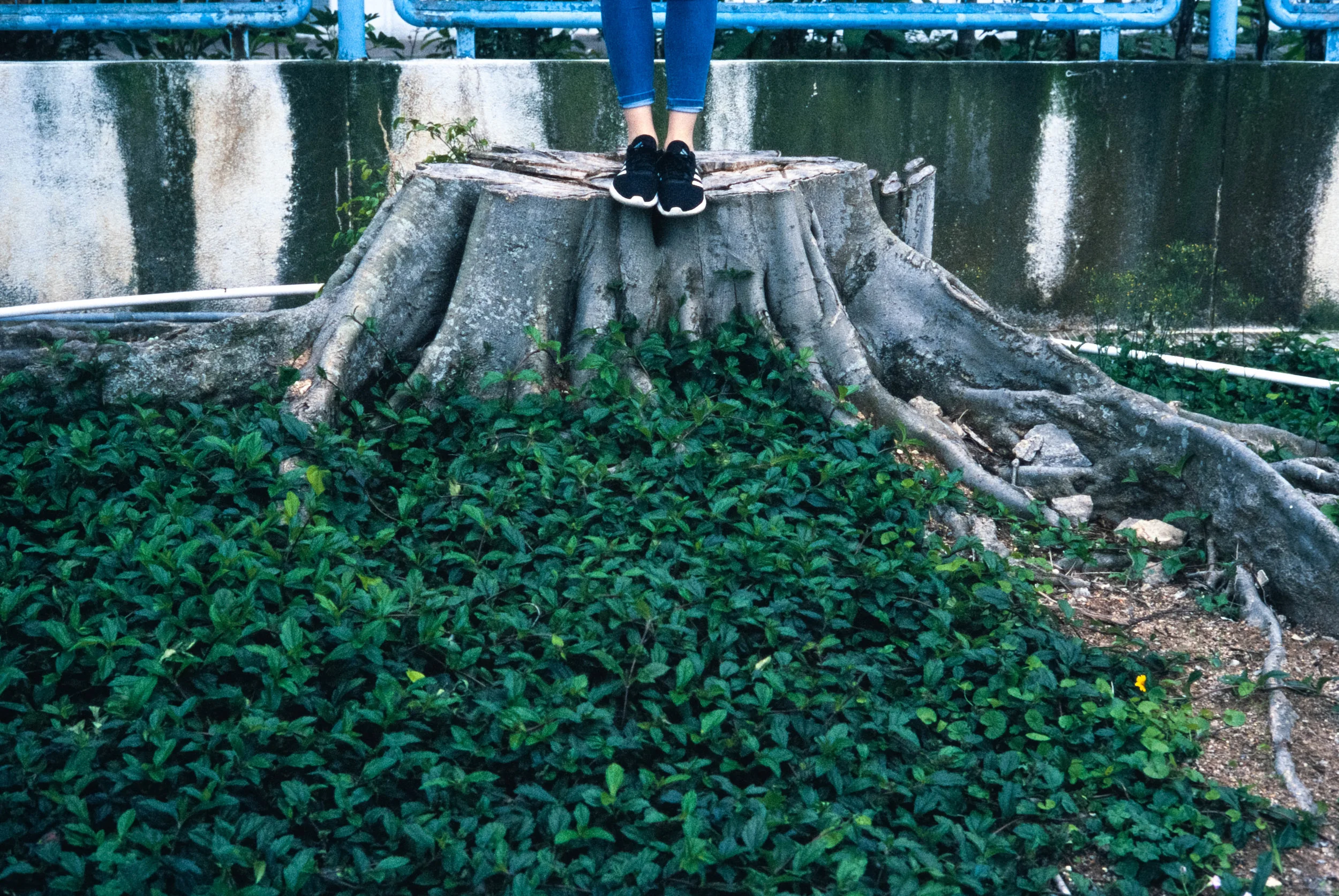 Leica MP-6 + Leica 50mm f/2 Summicron-M Version IV + Fujifilm Provia 400X Expired 2012