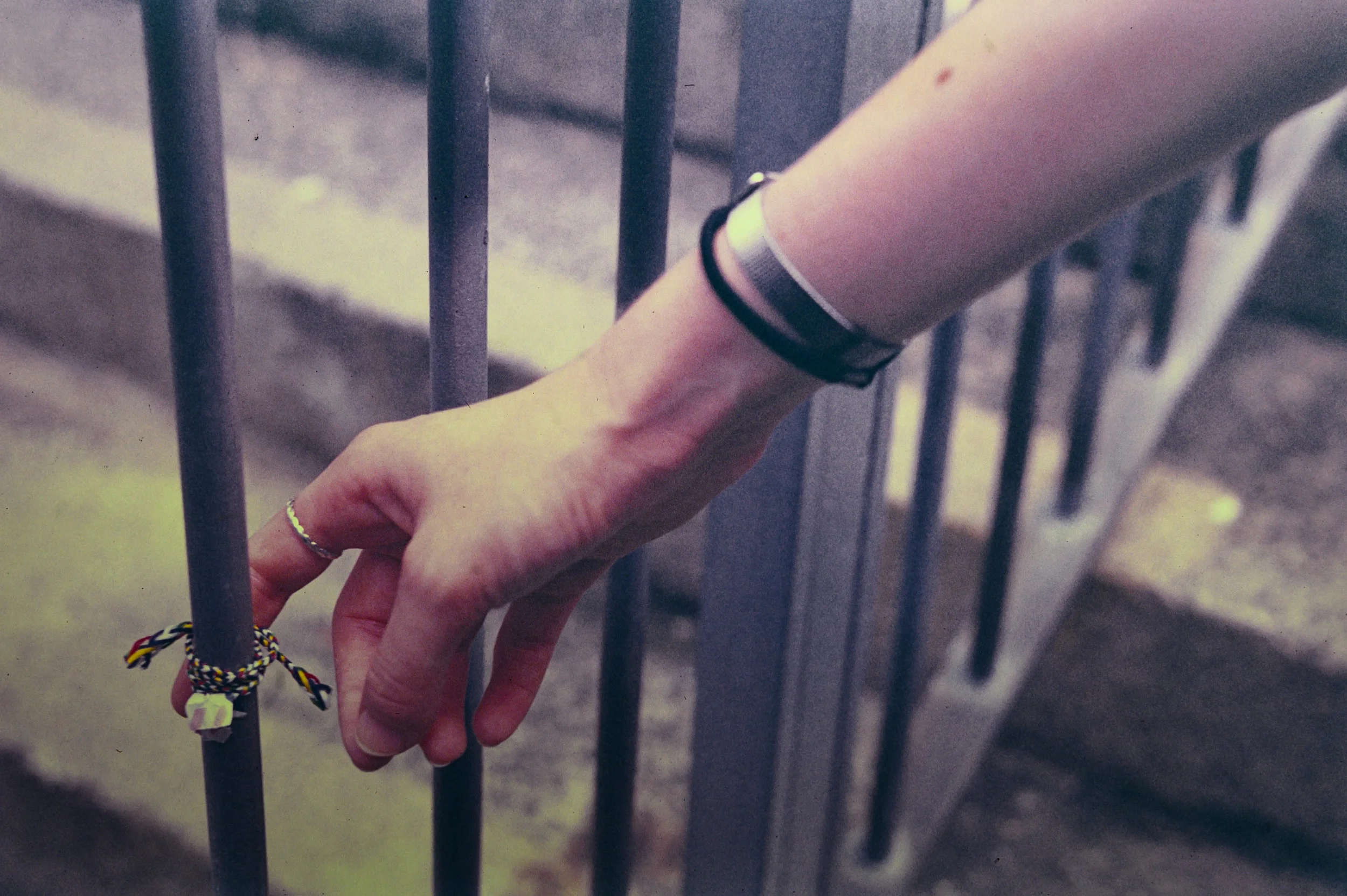 Kodak Ektachrome 100VS Expired 2004 @ 35mm Focal Length