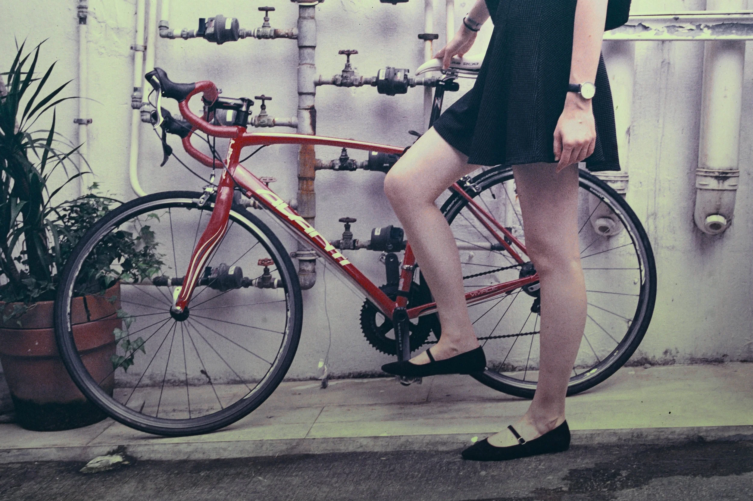 Kodak Ektachrome 100VS Expired 2004 @ 35mm Focal Length