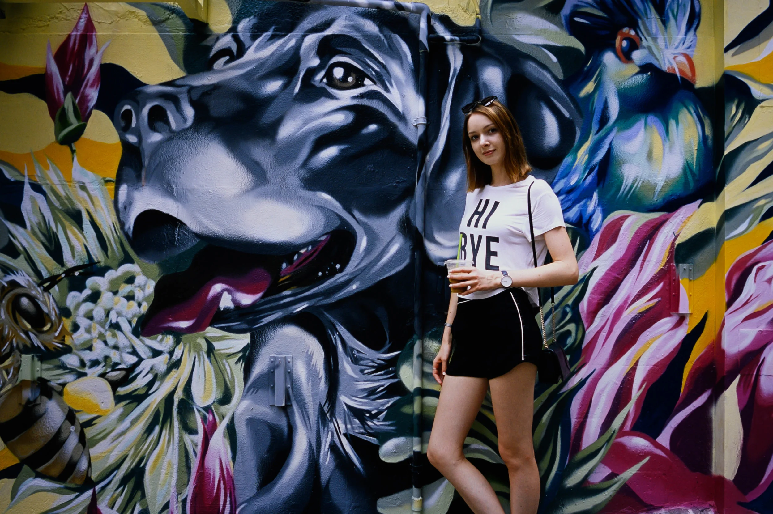 Fujifilm Provia 100F @ 28mm Focal Length - Speaking of conspicuous sights… umm… this mural. You definitely can’t miss it, caked-on with intensity.