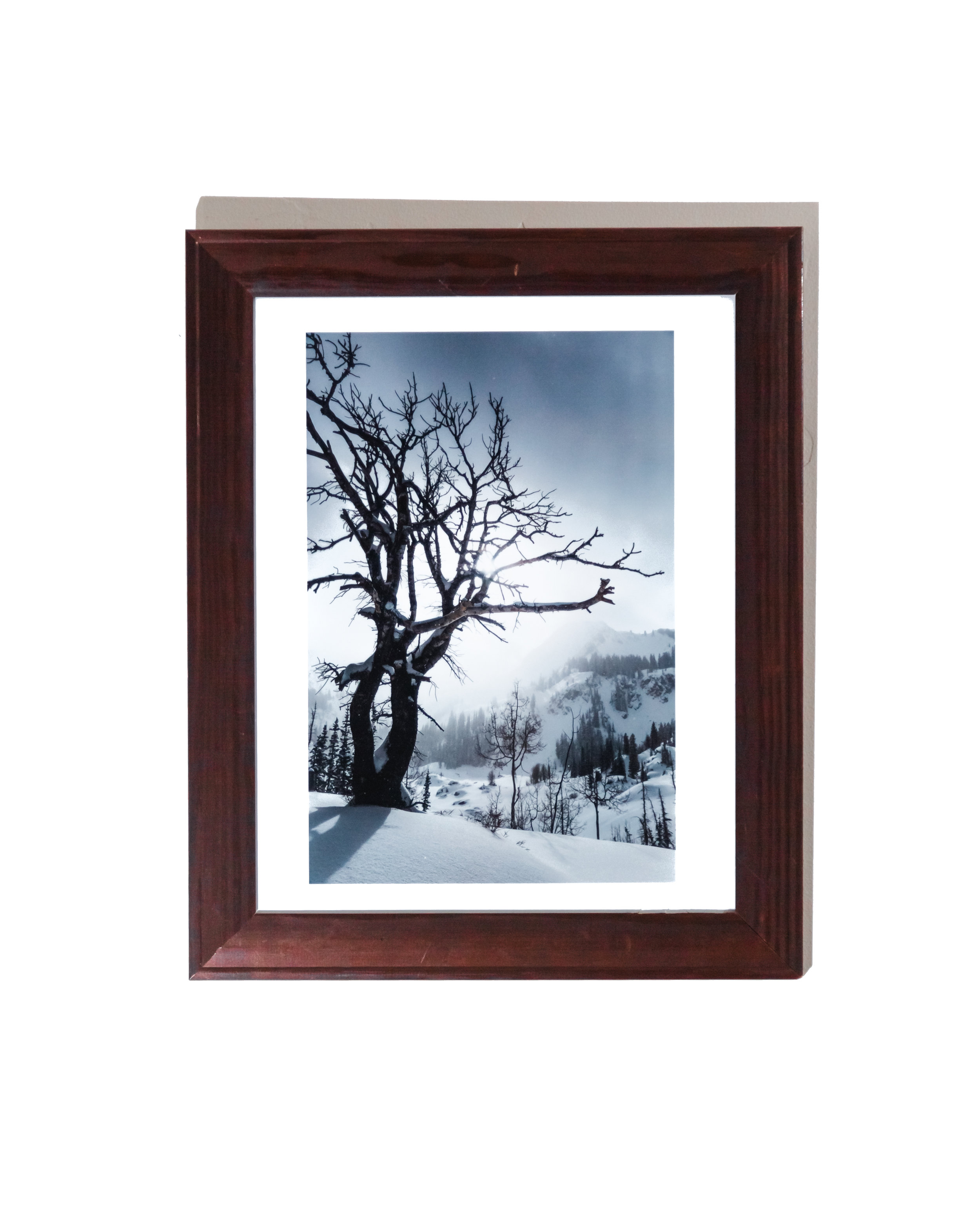 WF_FRAME-PHOTO-13.jpg
