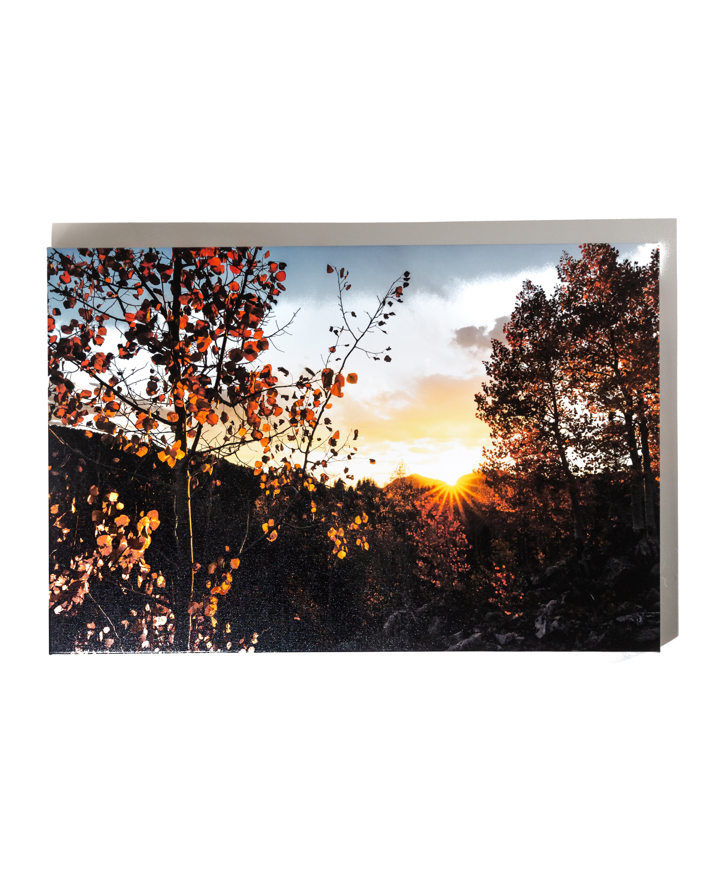 WF_FRAME-PHOTO-14.jpg