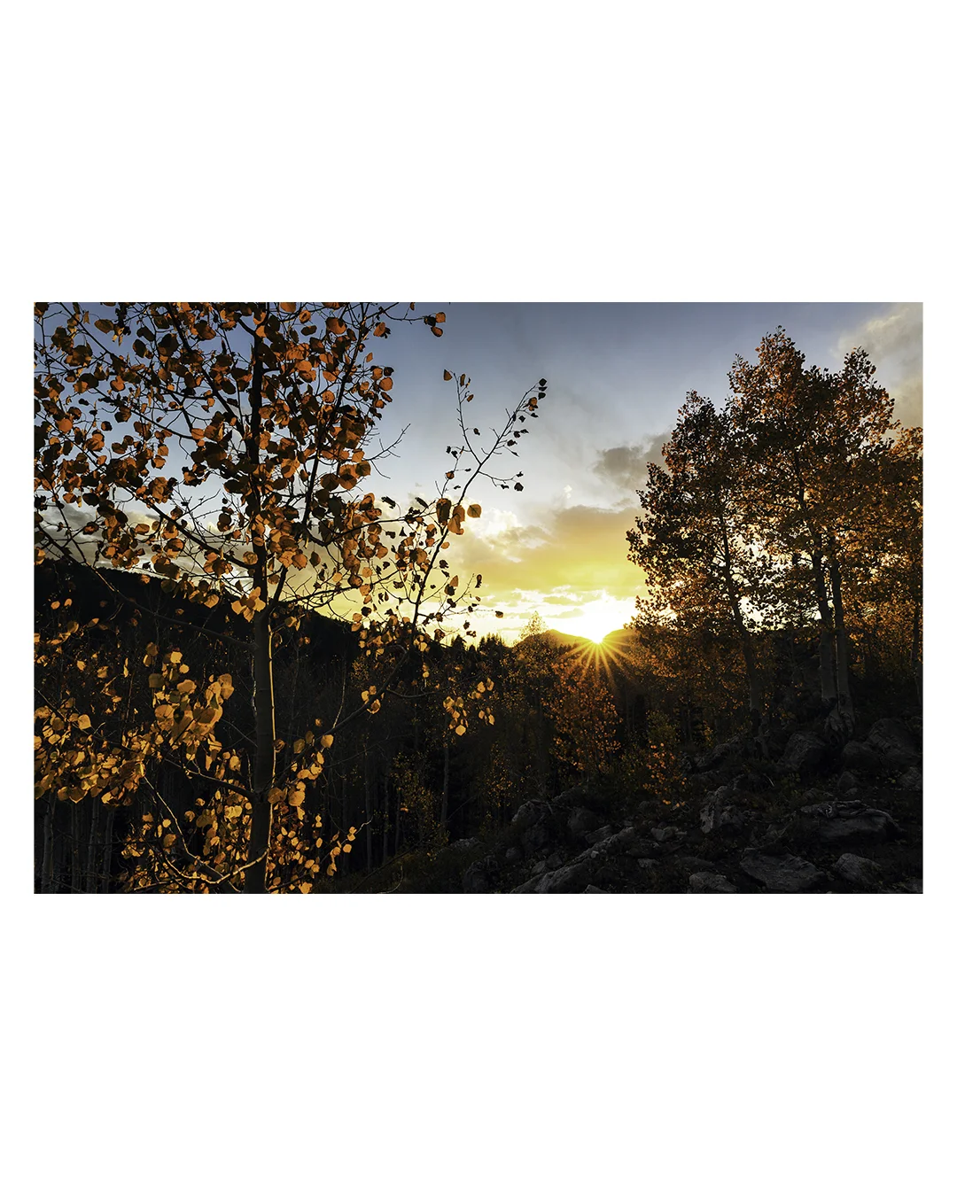 Mill Creek Sunset.jpg