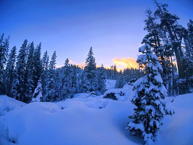 A fresh snowfall and a beautiful location meant it was time to take the new Moment lenses out on an adventure
.
.
.
.
.
#photography #photographer #picoftheday #photooftheday #momentlens #laketahoe #vacation #travel #traveling #explore #optoutside #g