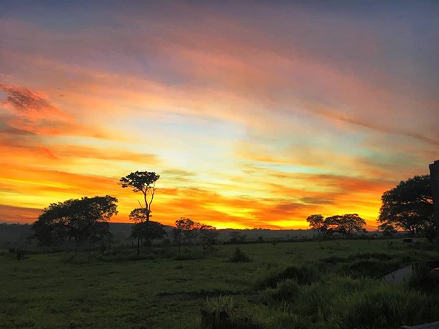 Found a masterpiece in the sky. What beautiful sunsets in Brazil! 🇧🇷