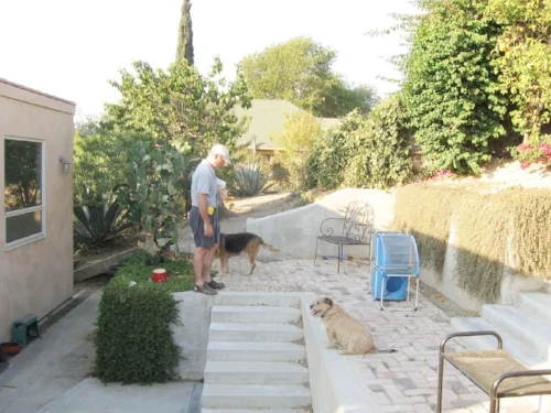 back patio with stairs leading to guest house