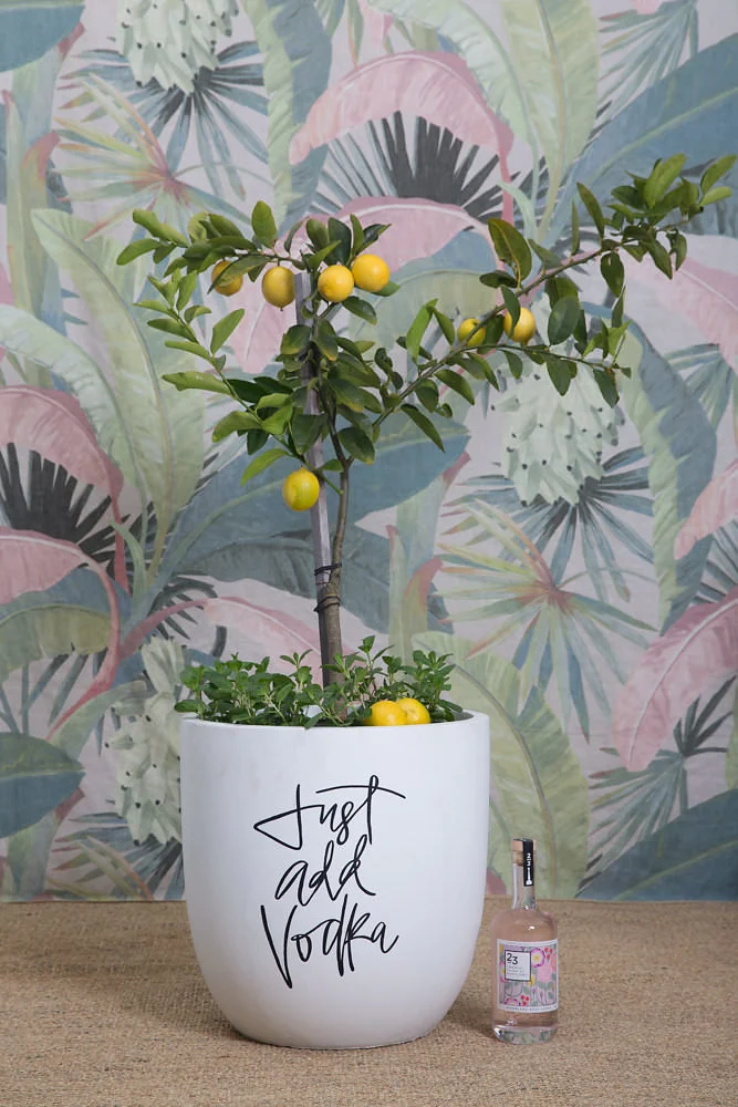 GreenFeatures__1413.jpg