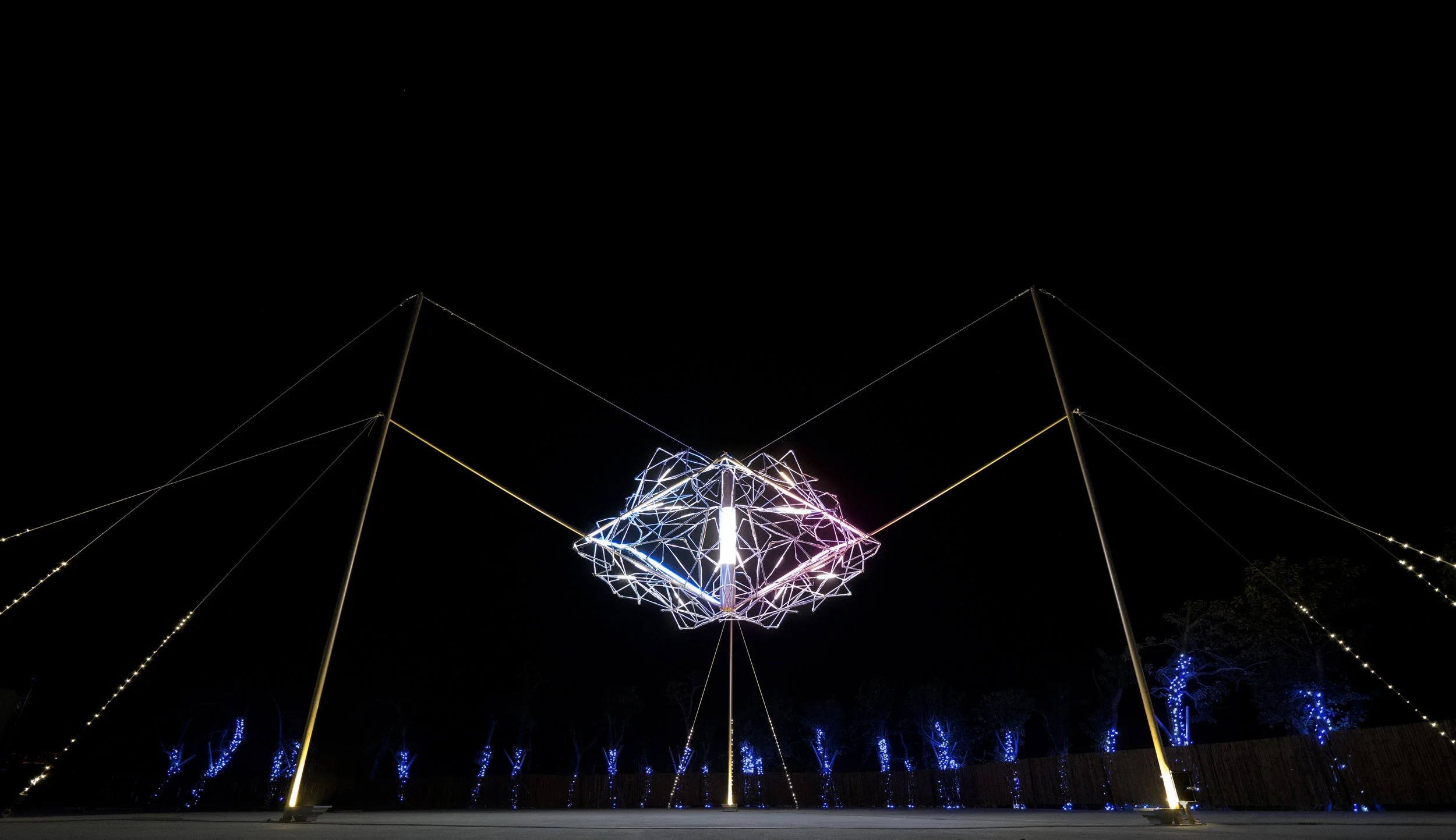 線.花.夜間正面照，漸變色彩1.jpg
