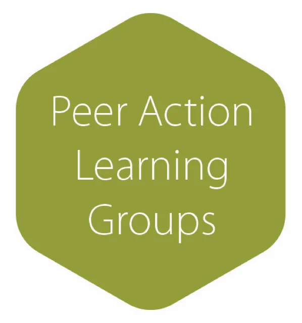 Peer AL Groups