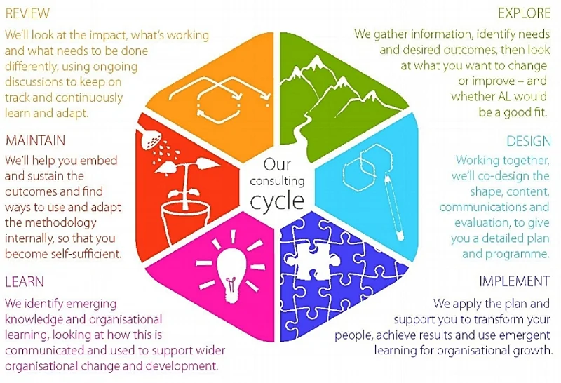 Info Graphic with words cropped.jpg