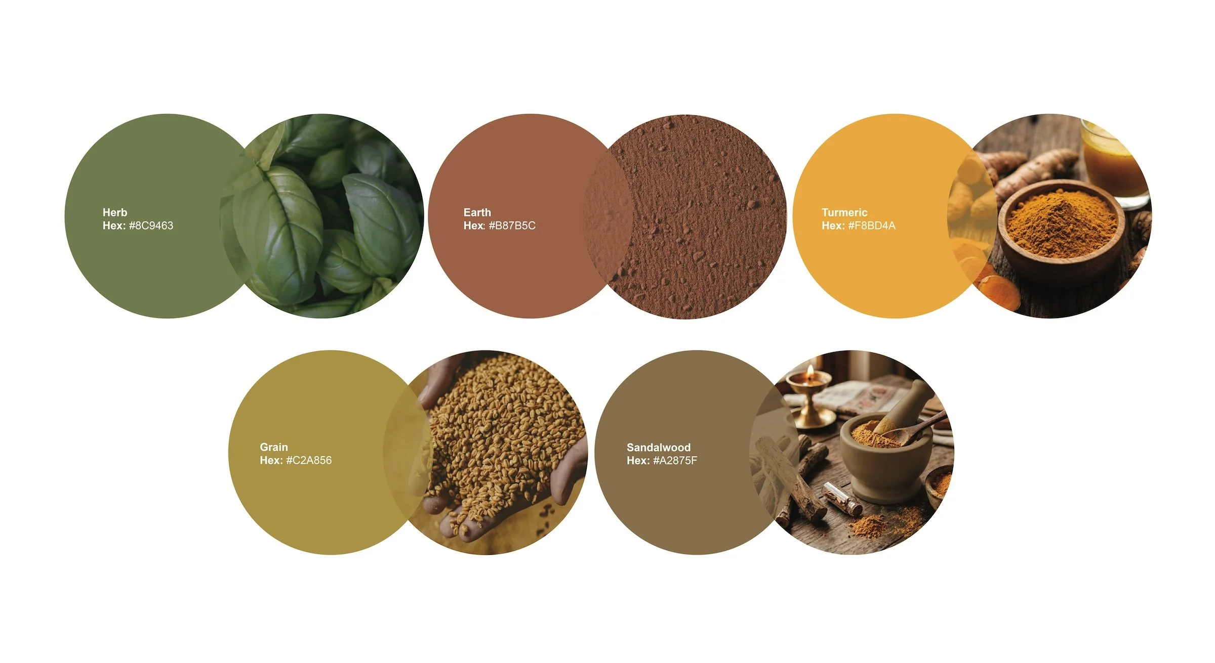 PIRENS brand colour palette showing Herb, Earth, Turmeric, Grain and Sandalwood