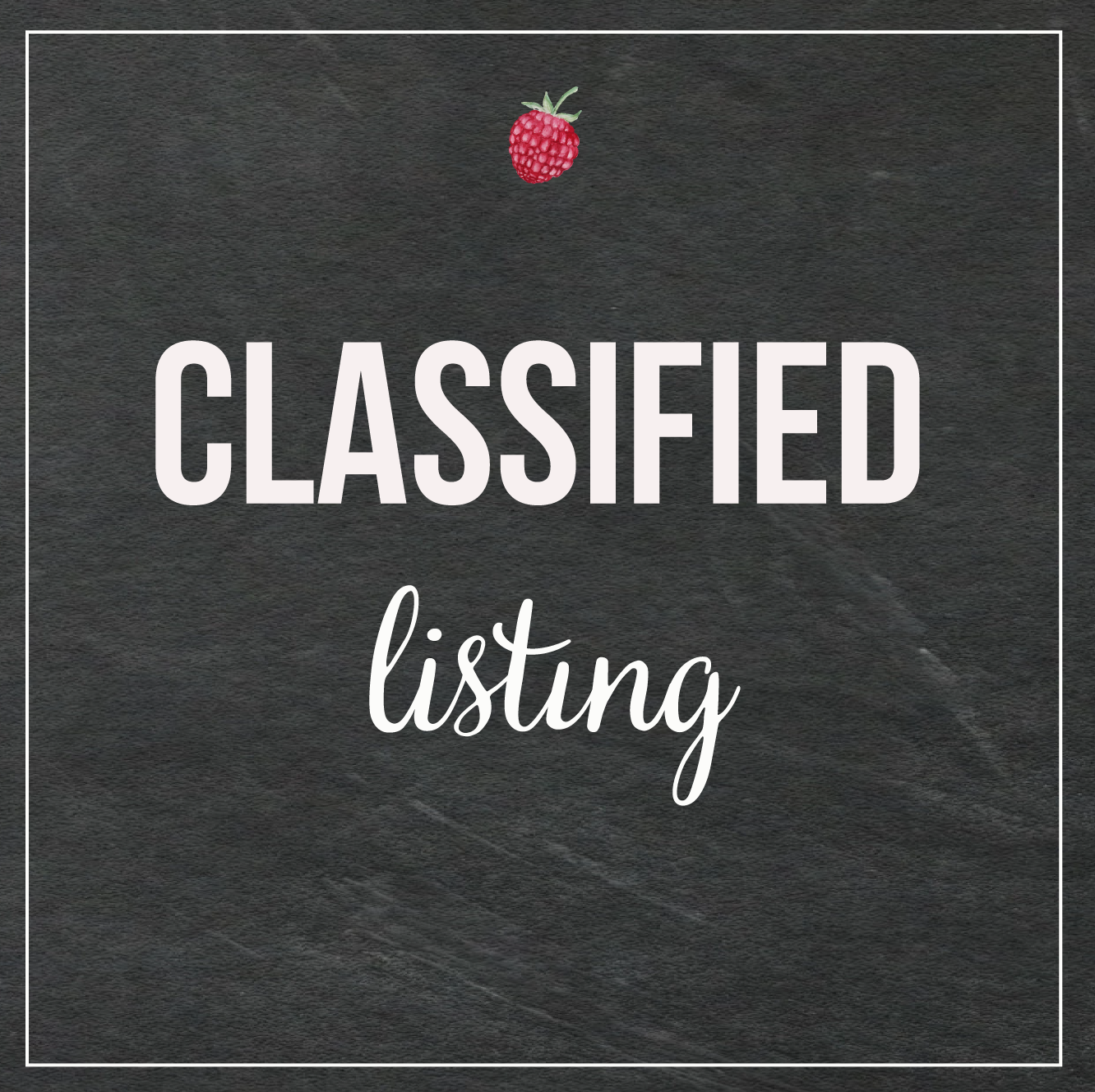 classified-listing-media-kit.png