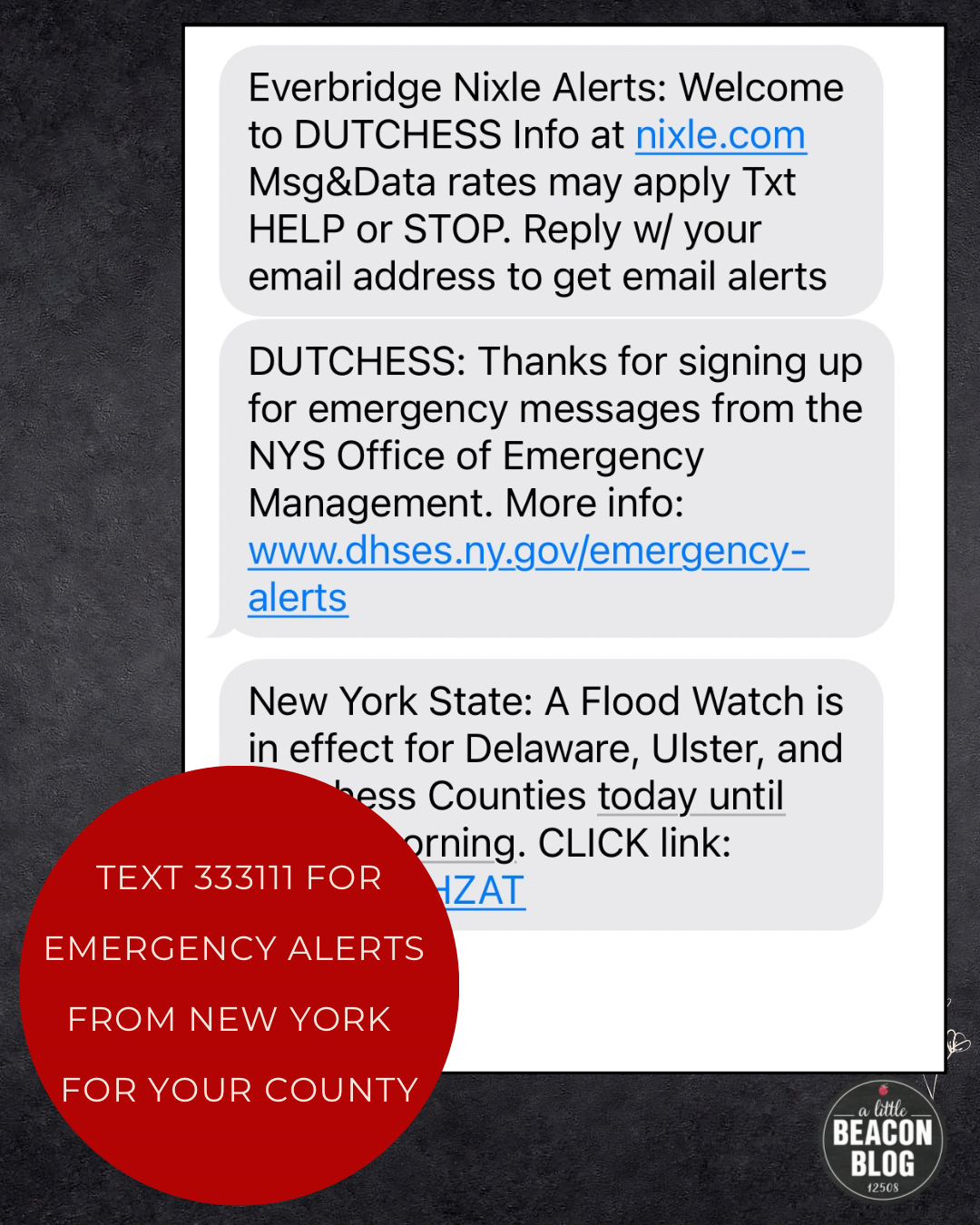 Text 333111 For Emergency Alerts From New York For Your County — A ...