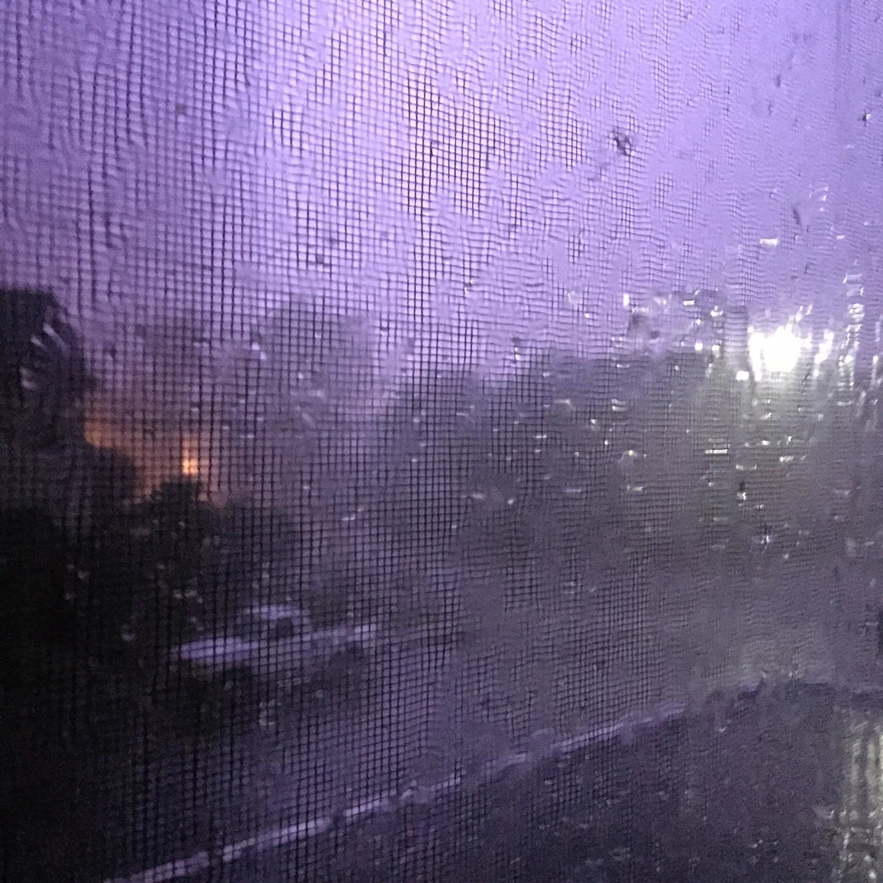 Lightning bolts coming down near Main Street light up the evening sky. Photo Credit: Katie Hellmuth Martin