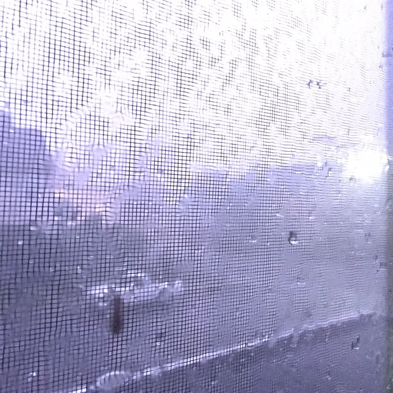 More lightning, different shades of white within milliseconds. Photo Credit: Katie Hellmuth Martin