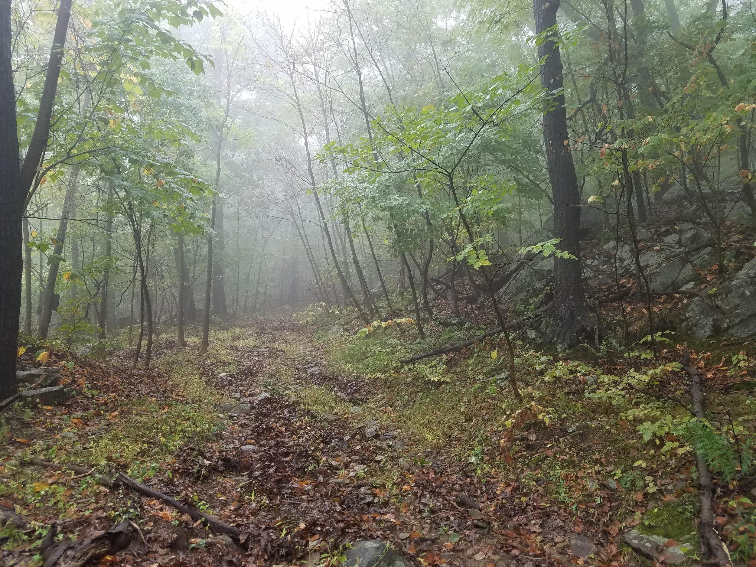 Photo Credit:&nbsp;Tom Cerchiara
