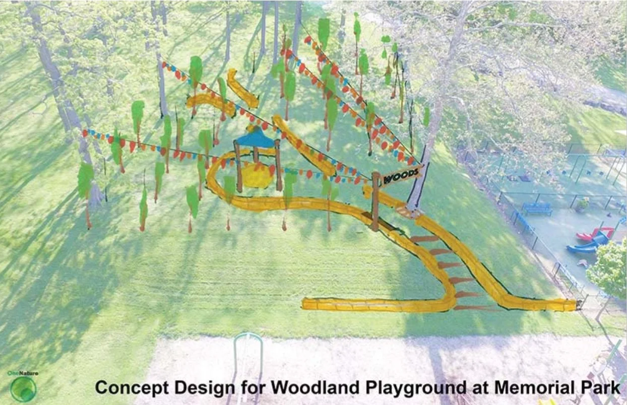 Concept Design for Woodland Playground at Memorial Park, by One Nature. Drawing part of proposed plan.