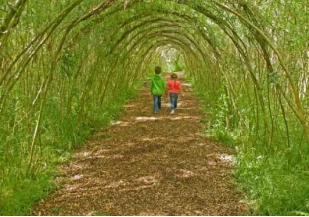 An image of what the arched willow trees could look like, if properly trained after the young willow shoots are planted.