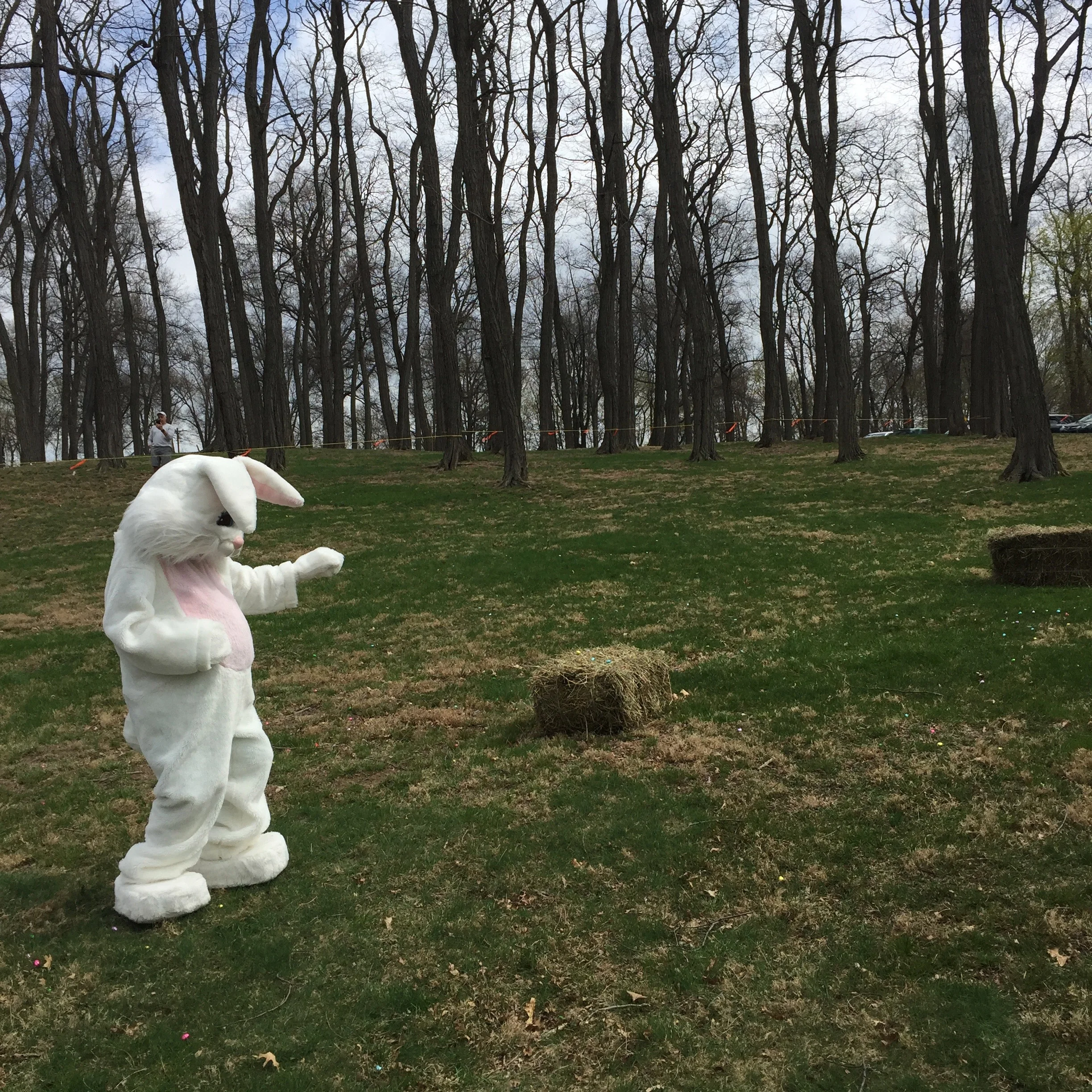 The Easter Bunny at the 2017 Easter Egg Hunt at Memorial Park. Photo Credit: Katie Hellmuth Martin