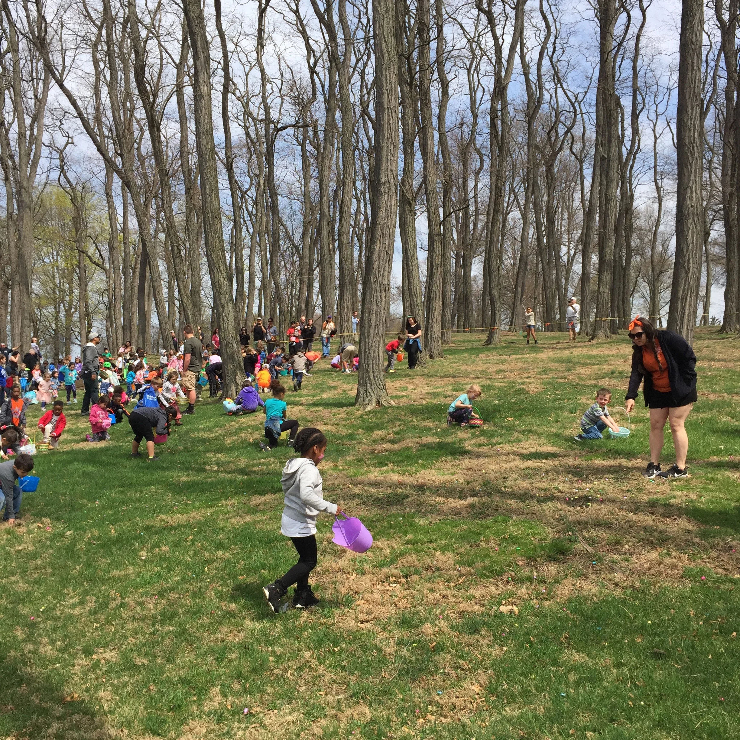 Kids searching for candy in the locust forest of Memorial park's Hill during the 2017 Easter Egg Hunt. Photo Credit: Katie Hellmuth Martin