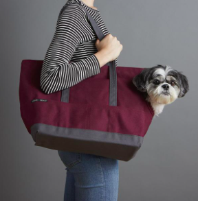 LOVETHYBEAST_PETTOTE.png