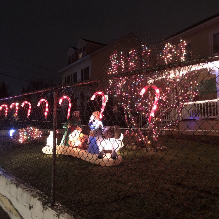 Candy canes in the front yard on DeWindt.