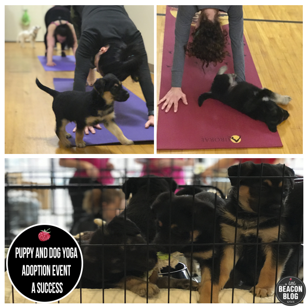 puppy_yoga.png
