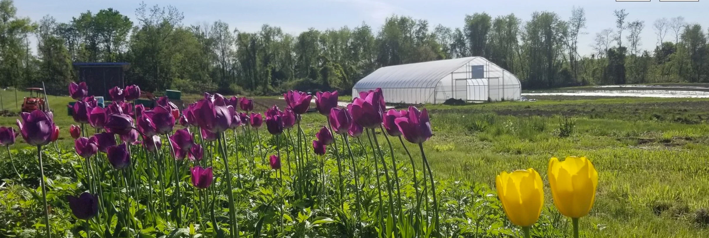 Photo Credit: Common Ground Farm