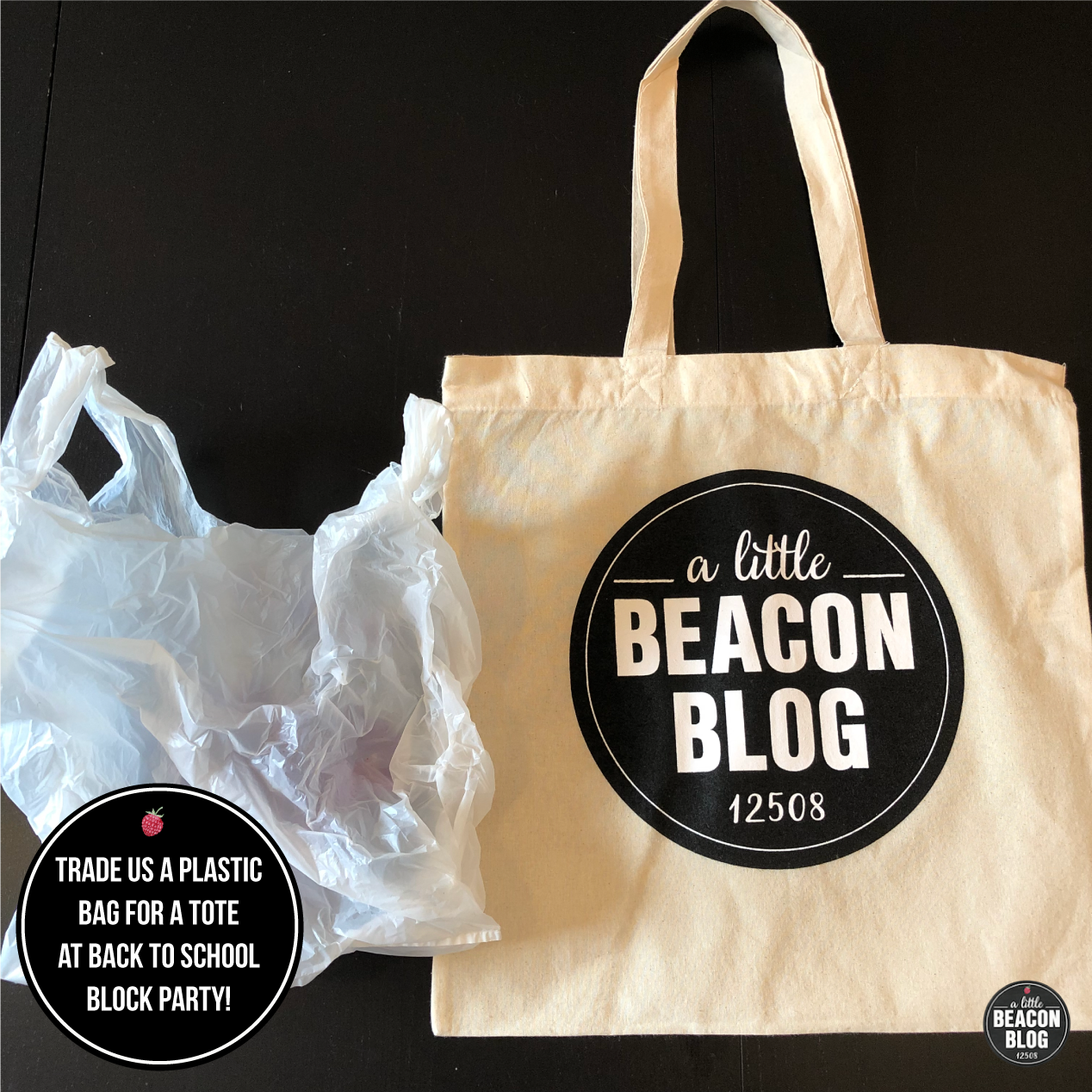 trade-us-plastic-bag-for-tote-back-to-school-block-party-MAIN.png