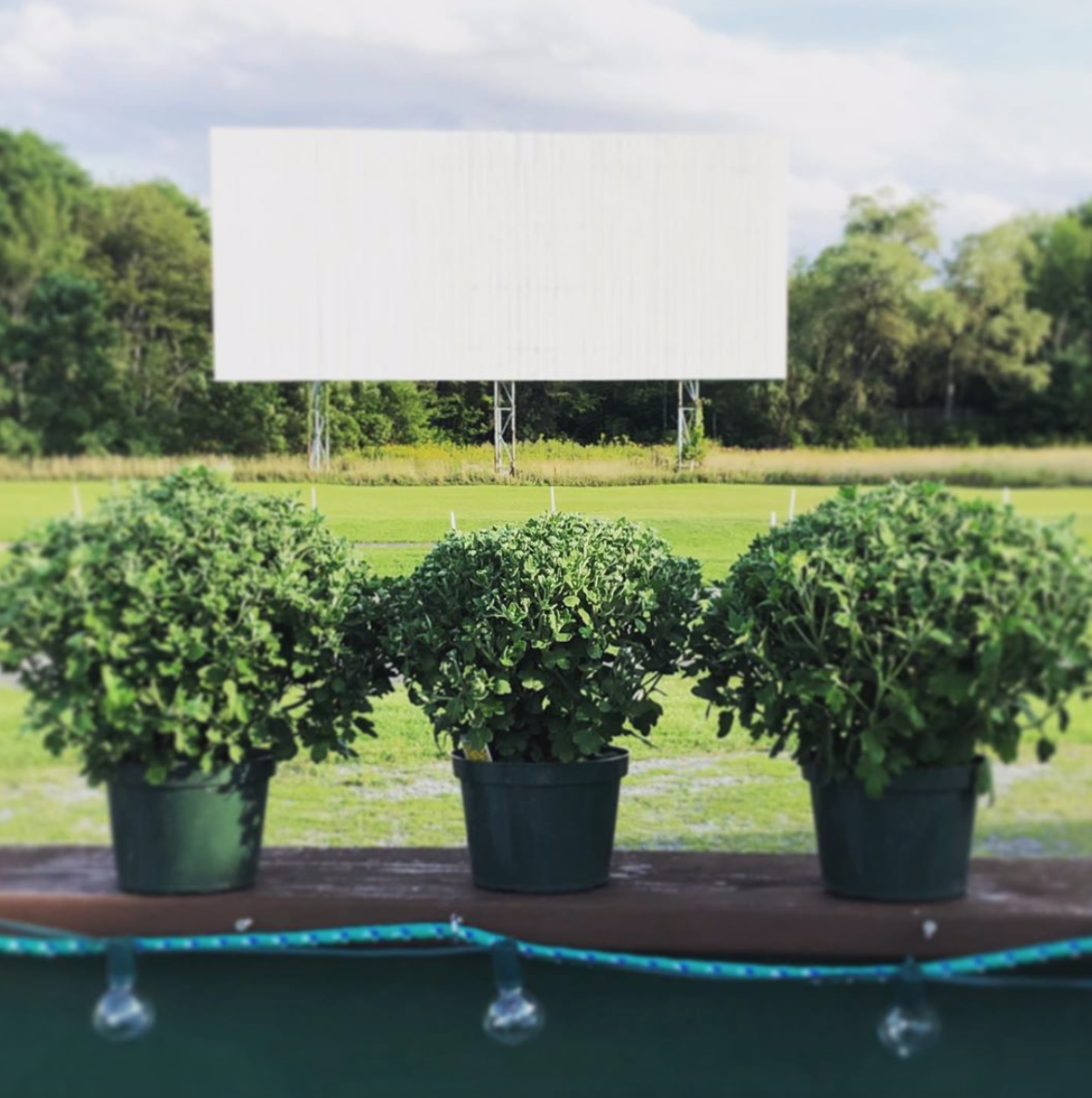 photo credit: greenville drive-in & beer garden