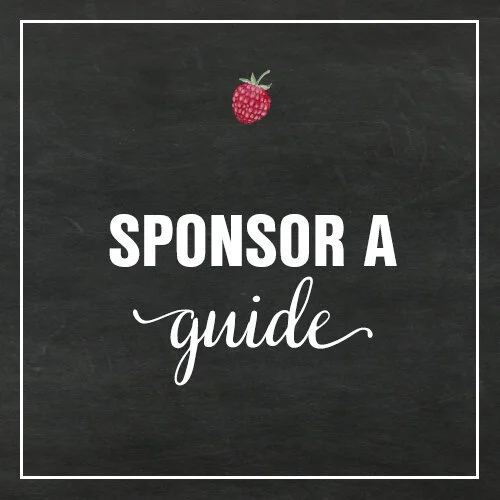 Box_SponsorAGuide.jpg