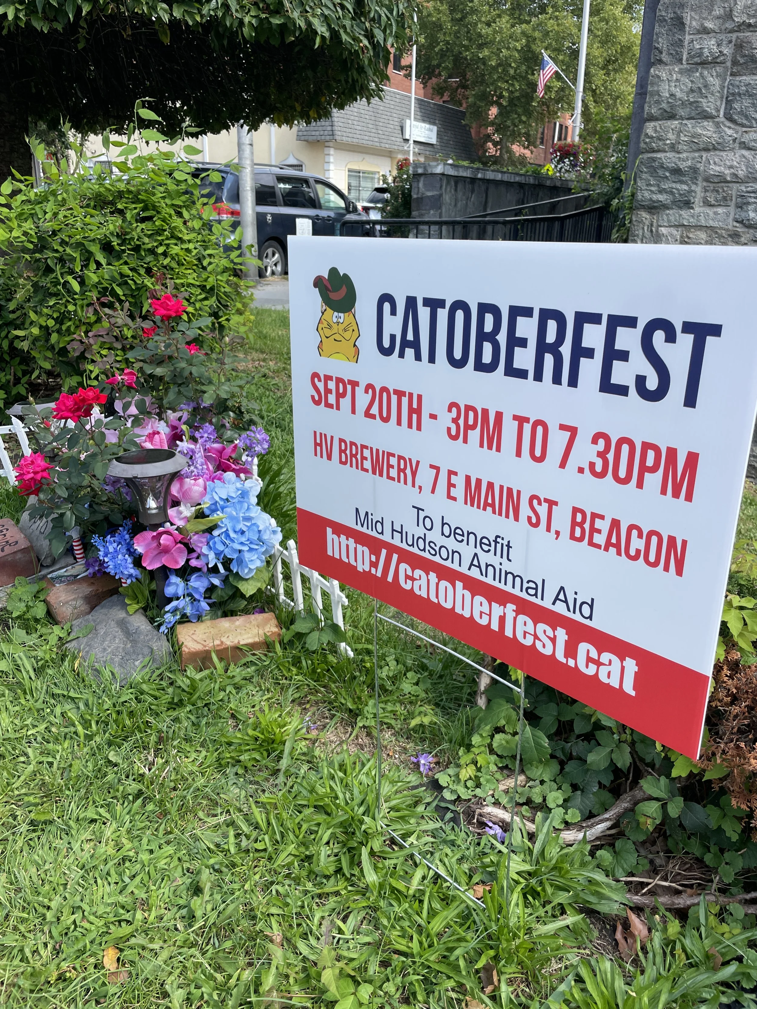 Catoberfest 2026-1 (1).JPG