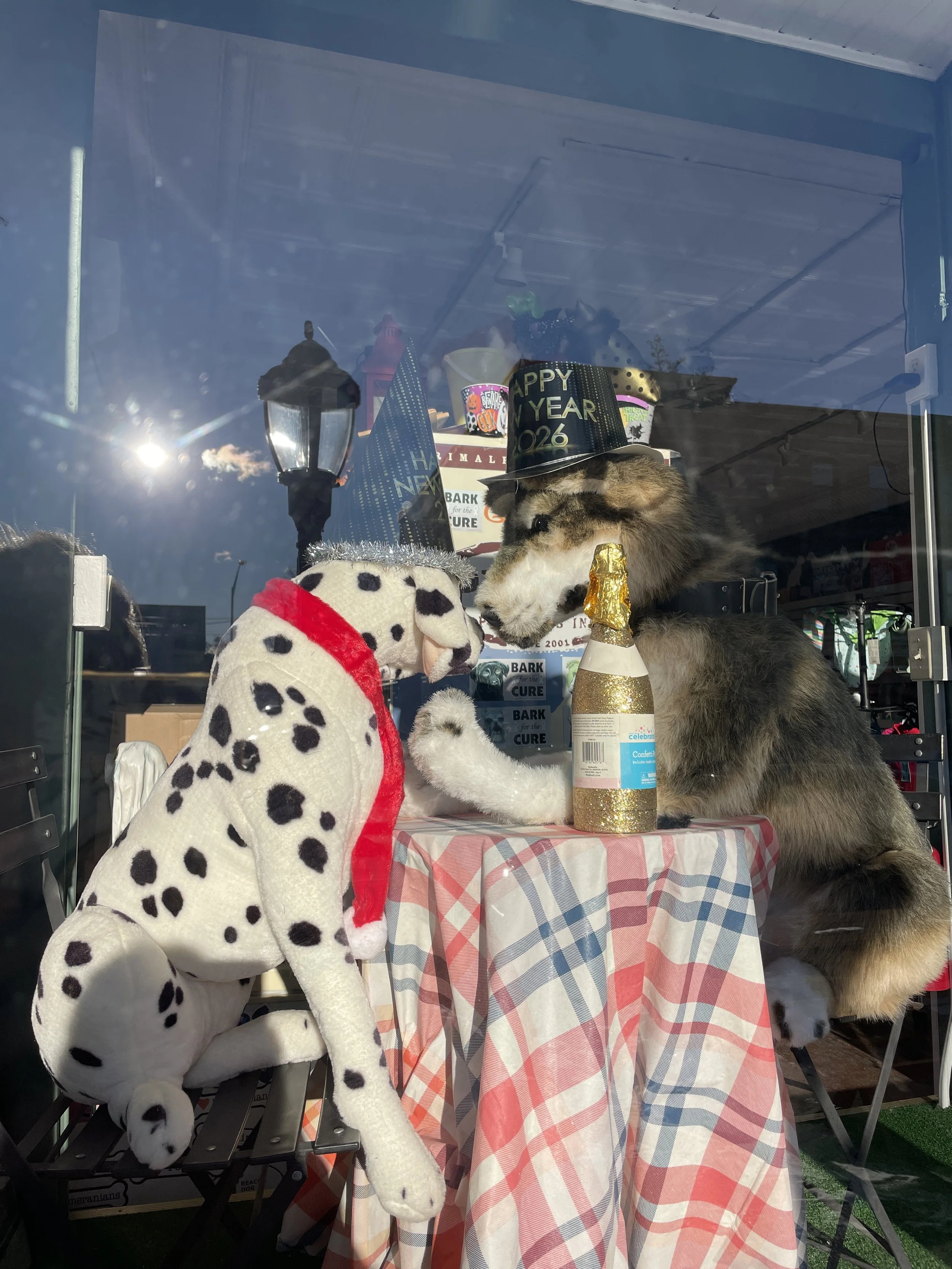 beacon barkery dogs new year.JPG