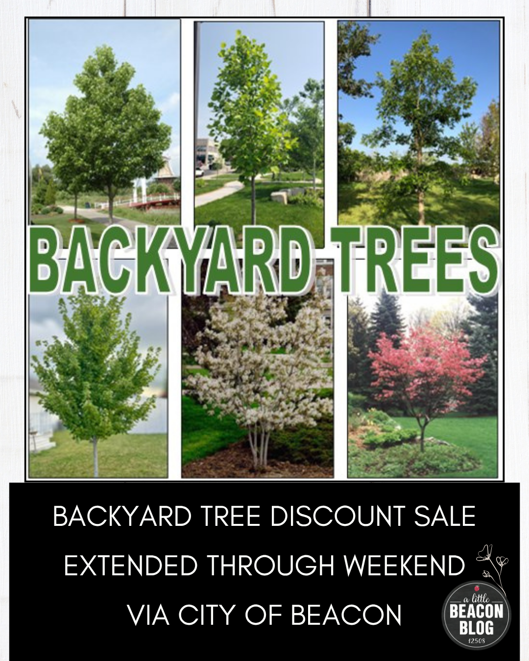 city of beacon backyard sale MAIN.png