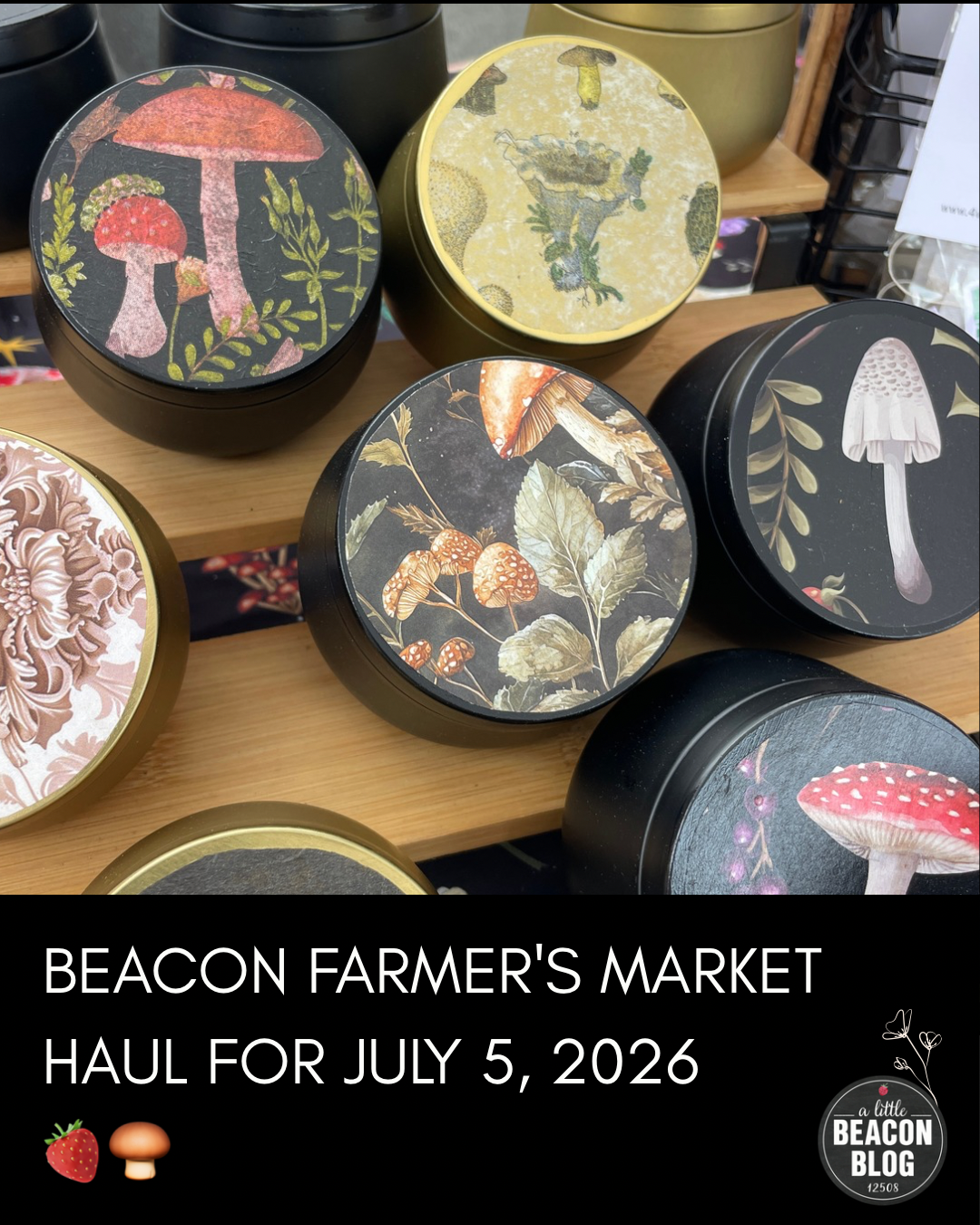 beacon farmers market haul july 5 2026 MAIN.png