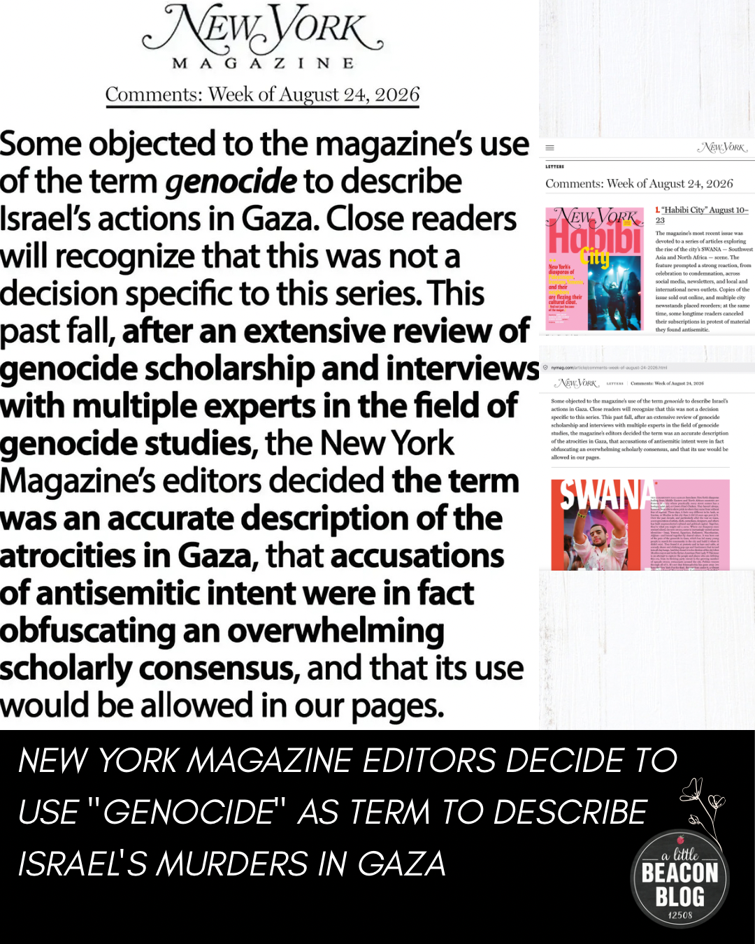 New York Magazine Editors Decide To Use "Genocide" As Term To Describe Israel's Murders In Gaza