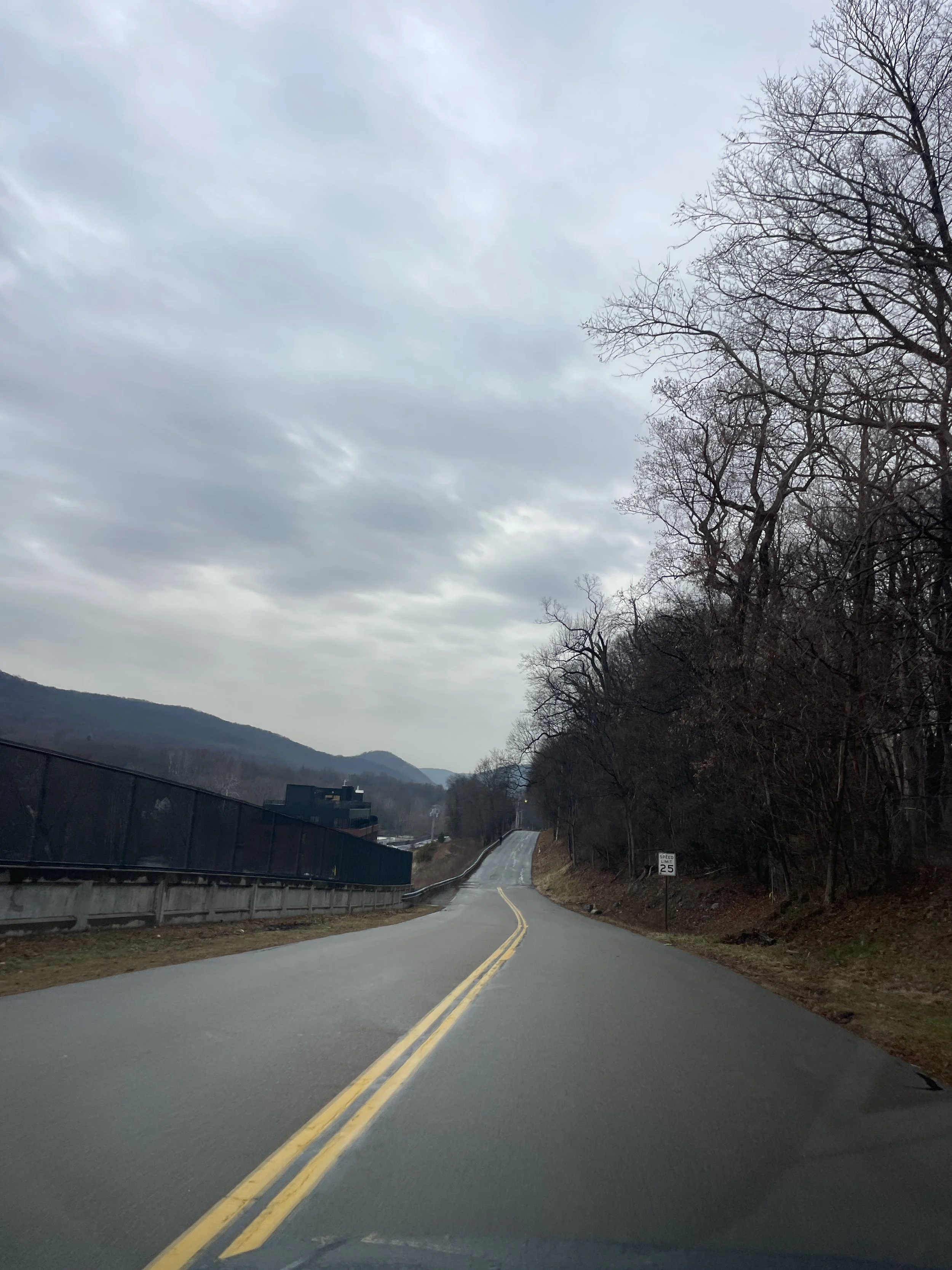 Tironda woods crime scene-long road.JPG