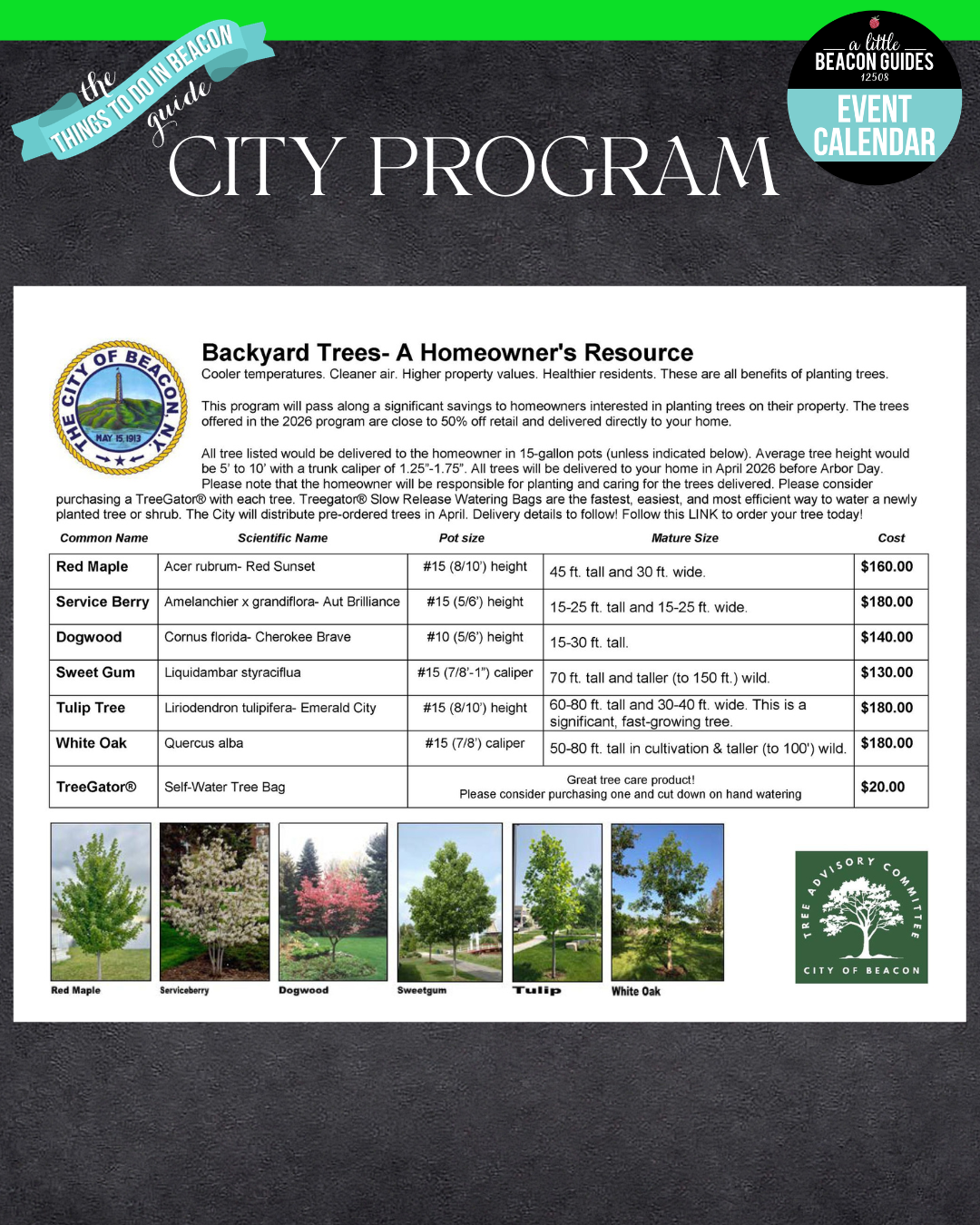 Last Day To Order Trees Through City of Beacon Discount - Delivered To ...