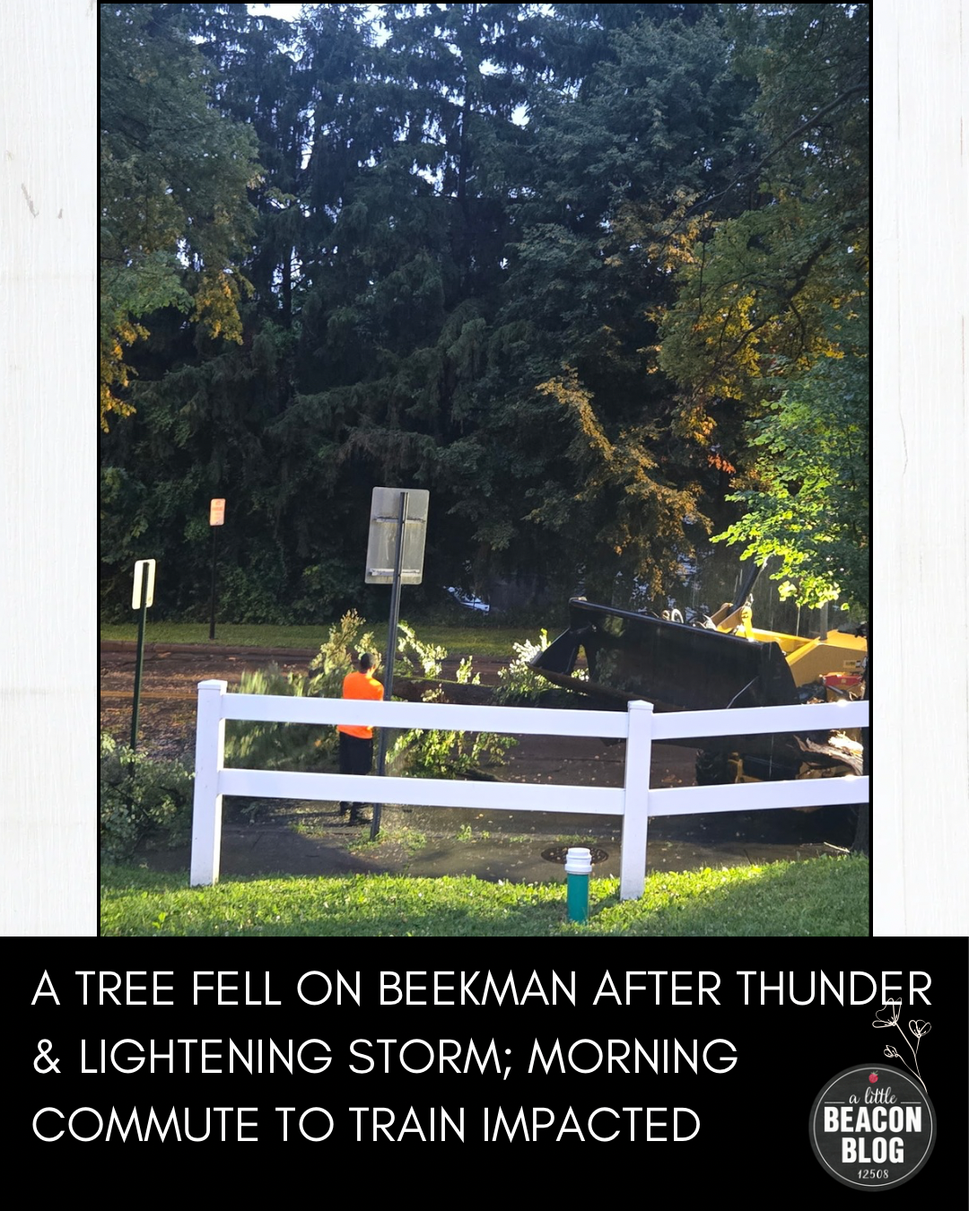tree fell on beekman july 2026 MAIN.png