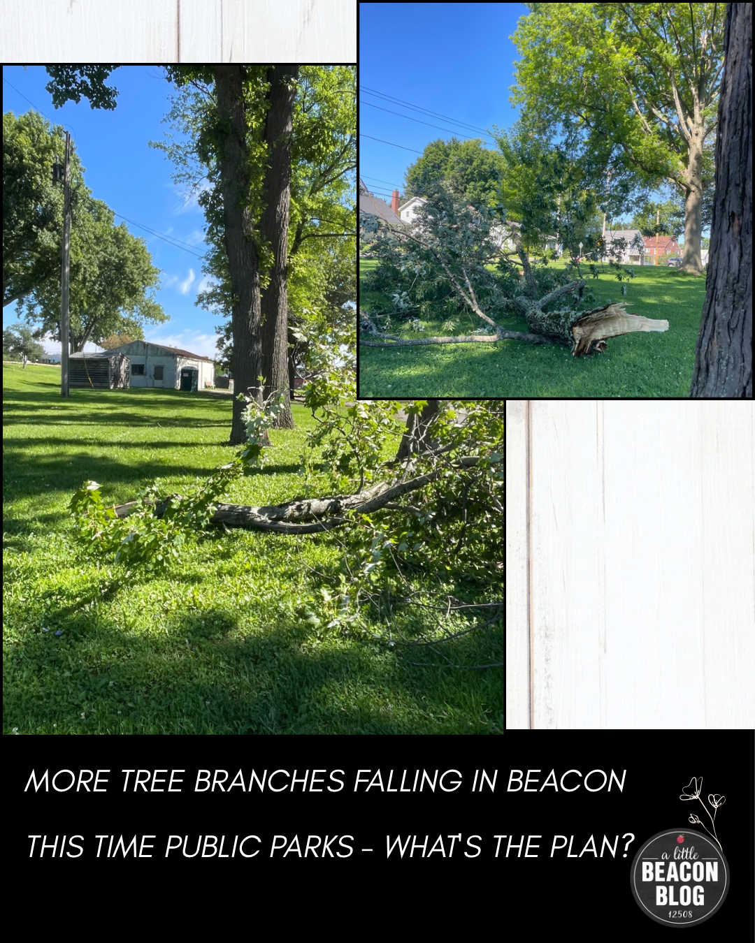 more tree branches fall in beacon MAIN.png