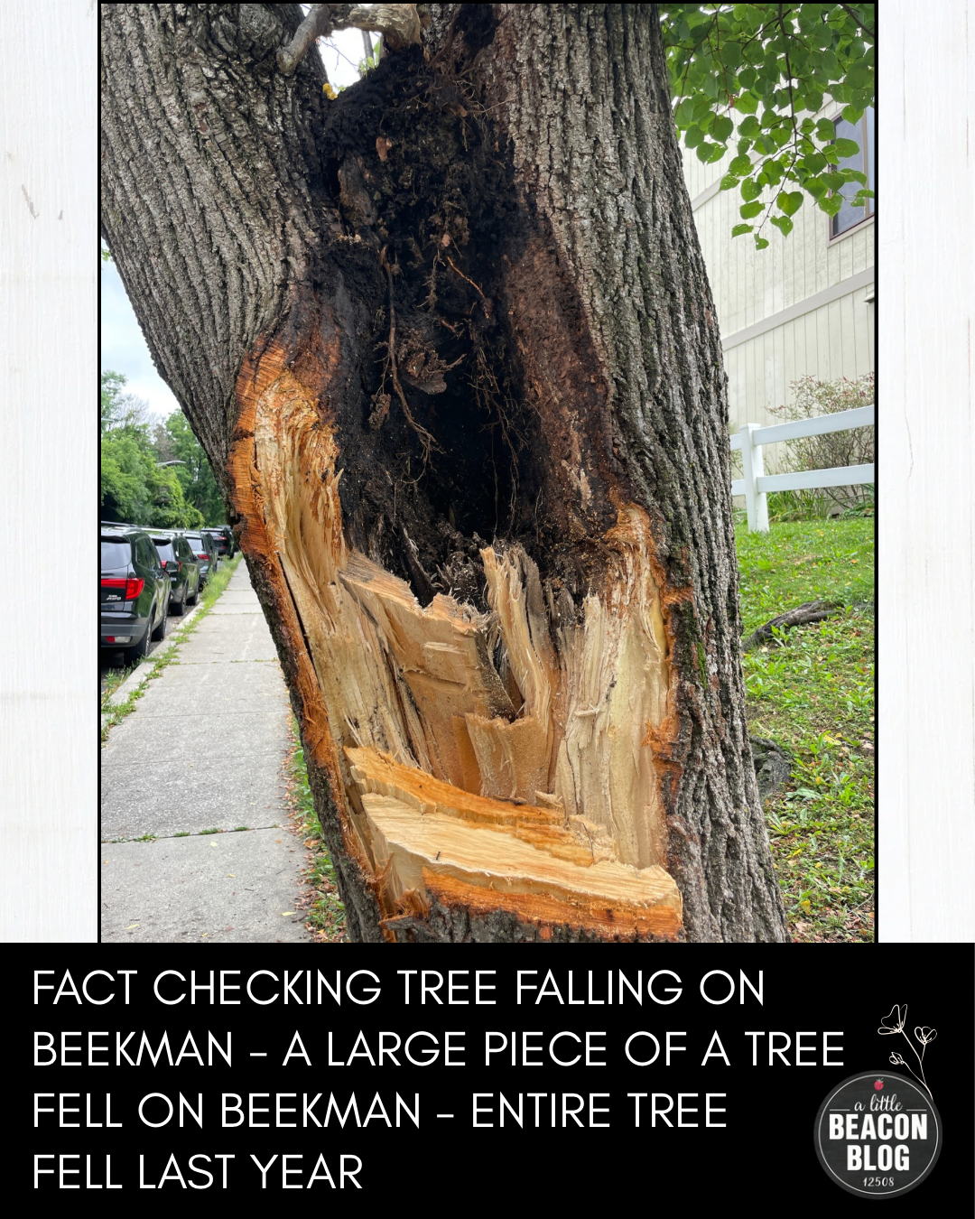 tree branch falling beekman july 2026 MAIN.png