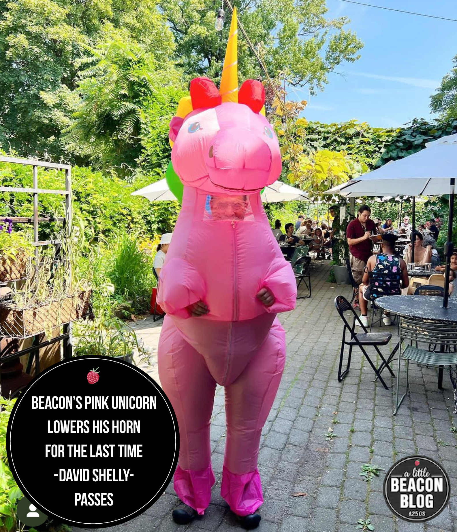  I AM 6 LET'S CELEBRATE: Pink Unicorn journal