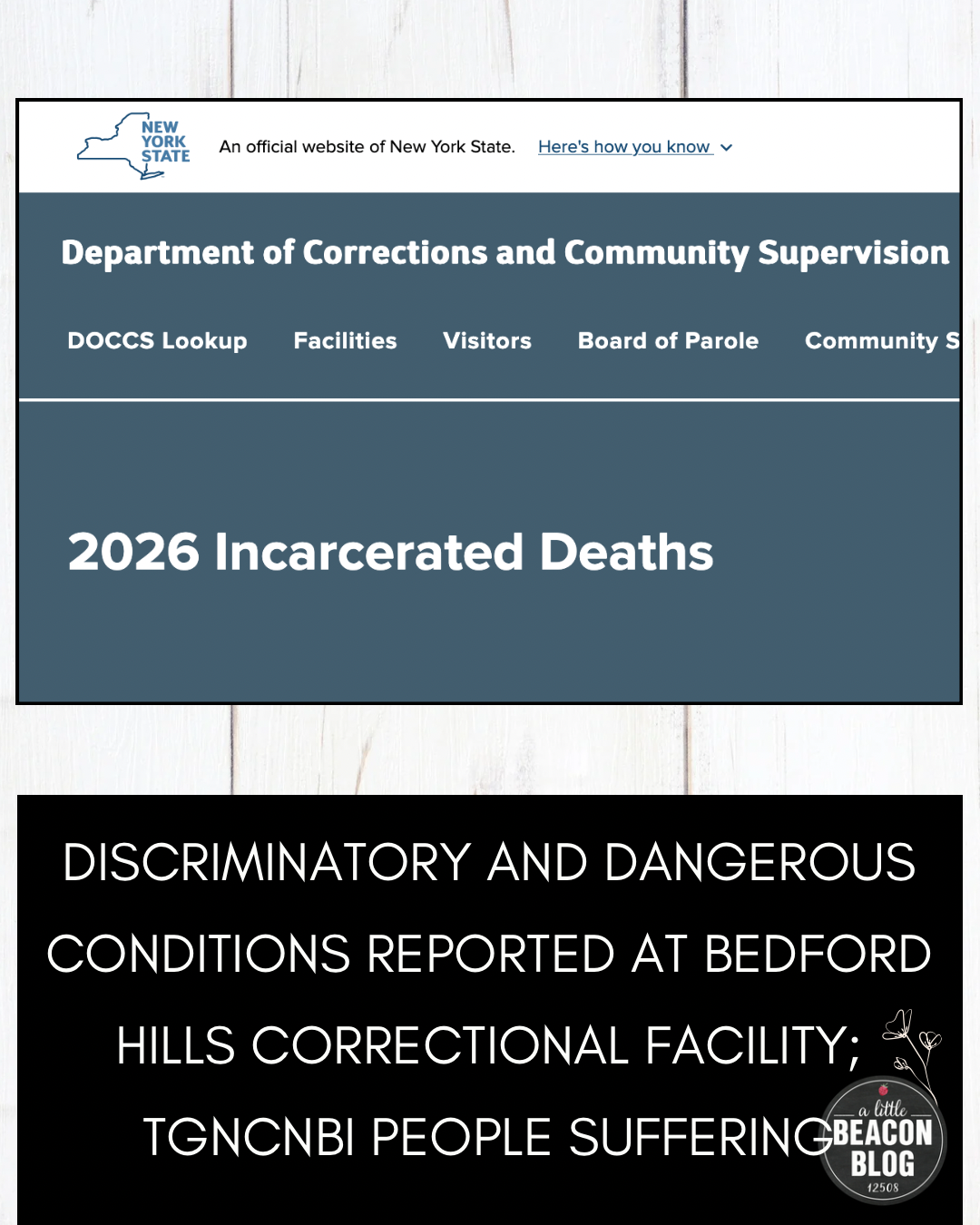 bedford hills correctional facility discriminatory dangerous conditions MAIN.png