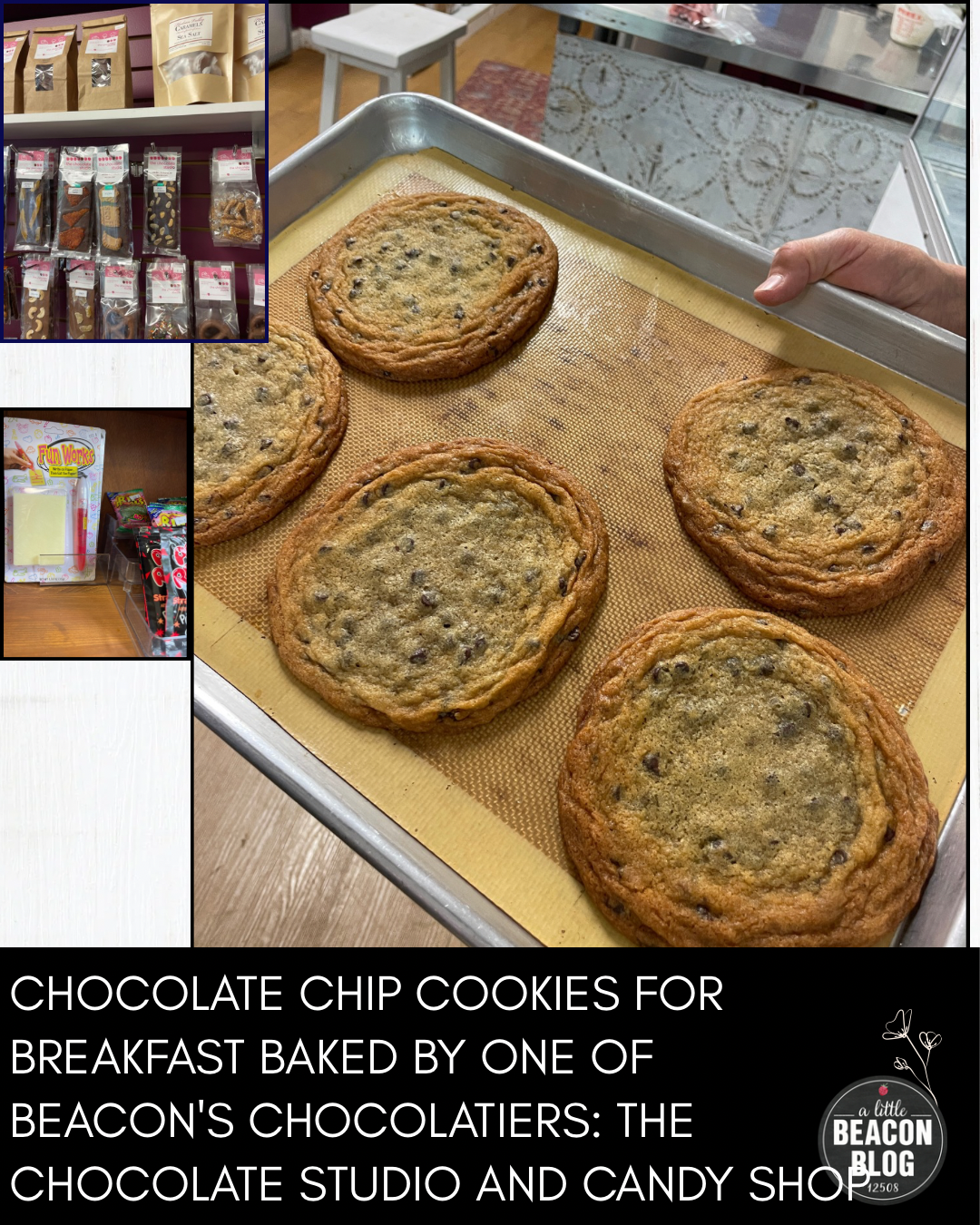 chocolate studio cookies candy MAIN.png