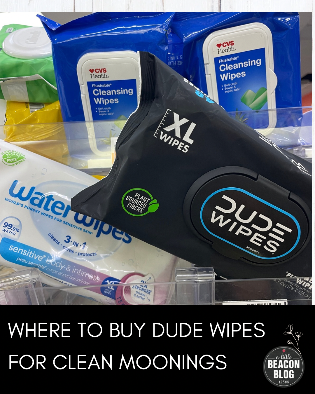 dude wipes for clean moonings MAIN.png